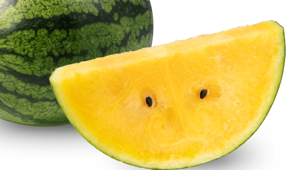 yellow-watermelon.