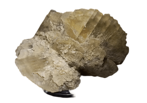 Gypsum