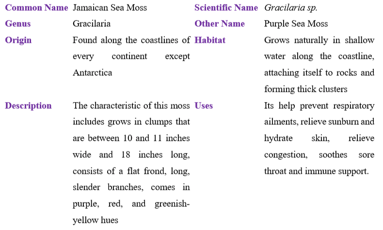 Jamaican Sea Moss table