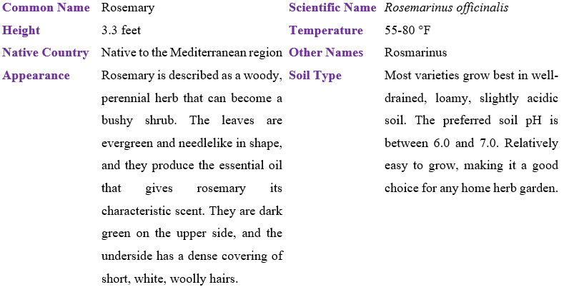 Rosemary table