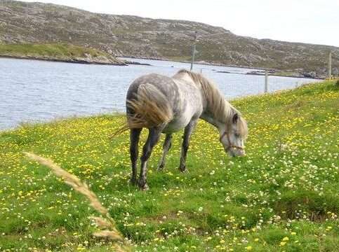 Eriskay