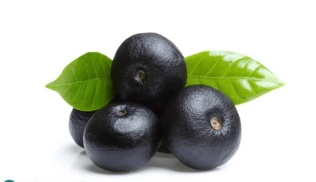 Acai Berry