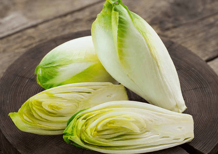 Belgian Endive