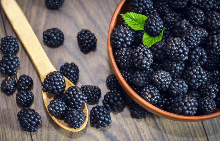 Blackberry