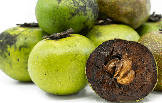 Black Sapote