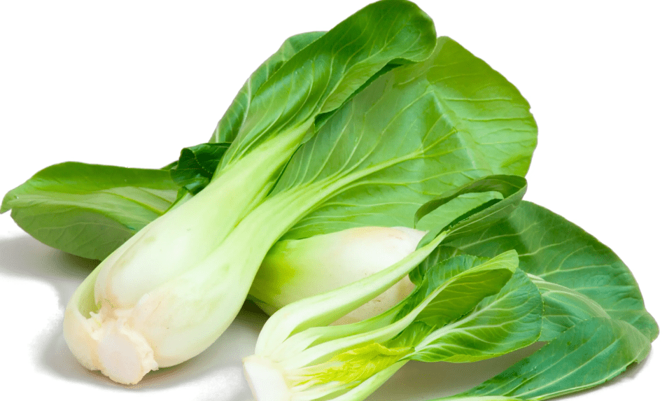Bok Choy