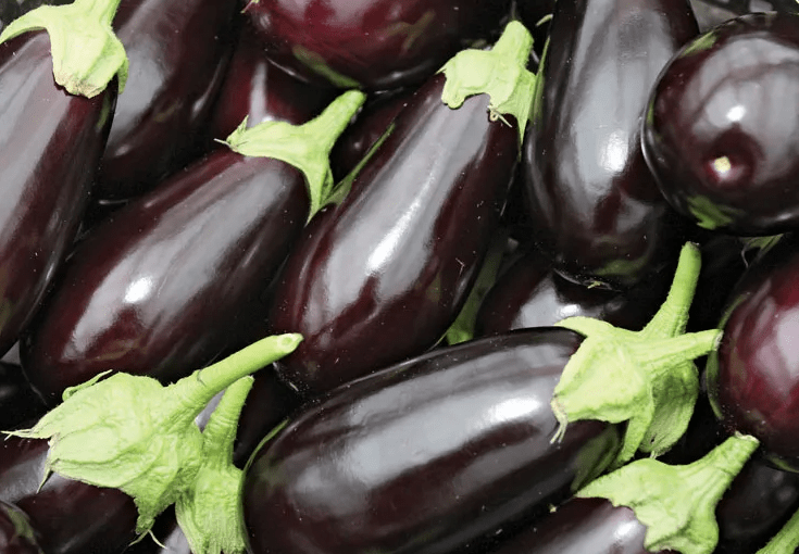 Brinjal