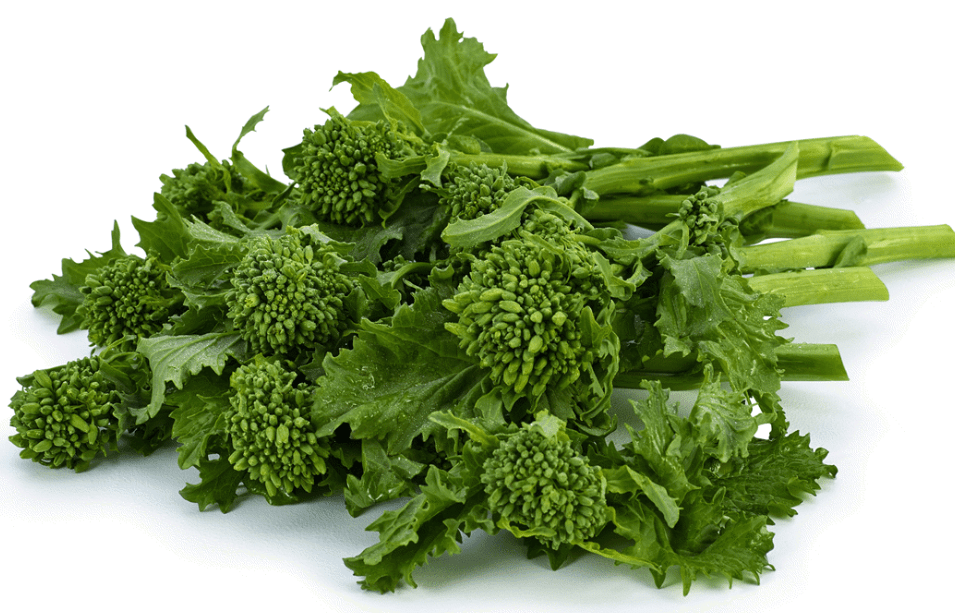 Broccoli Rabe