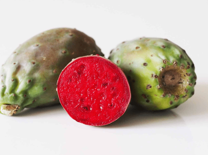 Cactus Pear