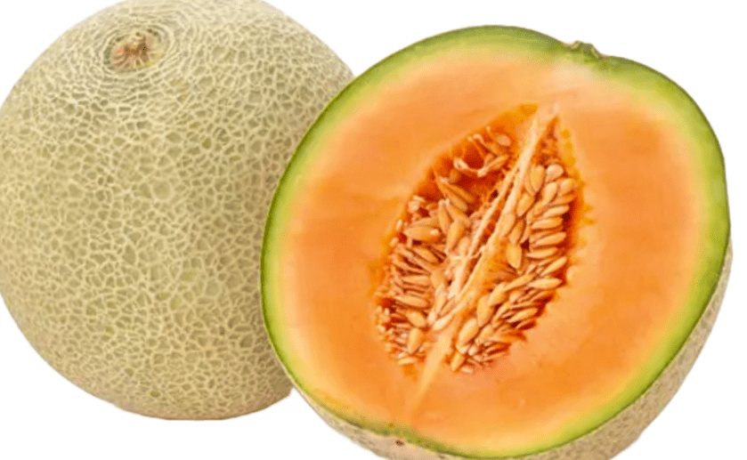 Cantaloupe