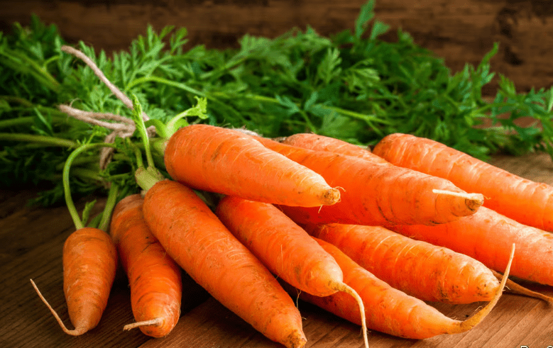 Carrot