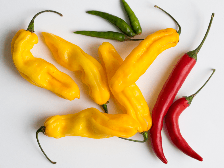Chilli