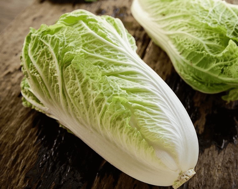 Chinese Cabbage