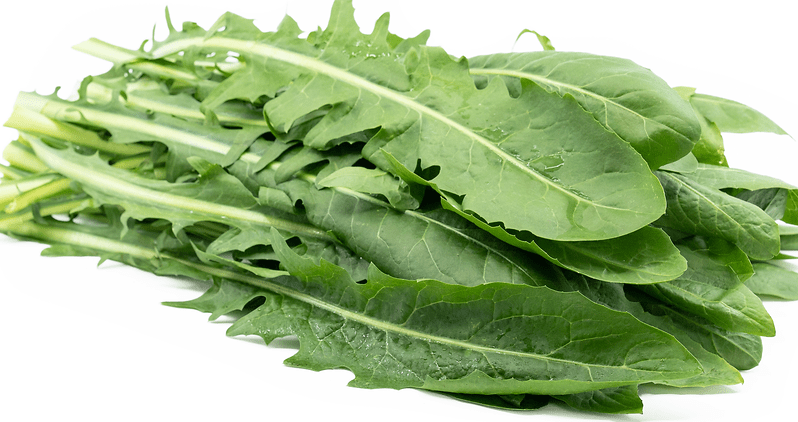 Dandelion Greens