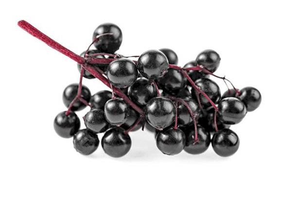 Elderberry
