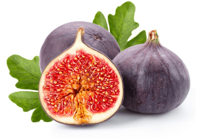 Fig