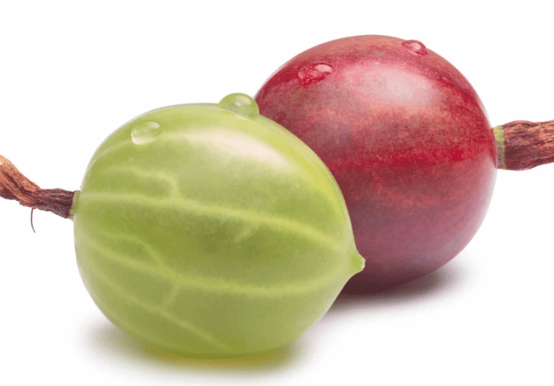 Gooseberry