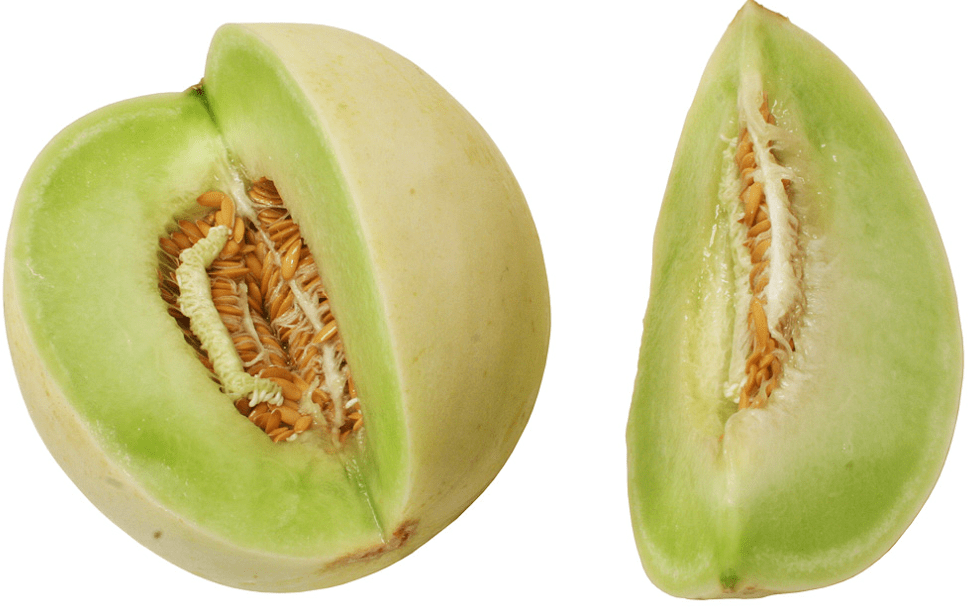 Honeydew