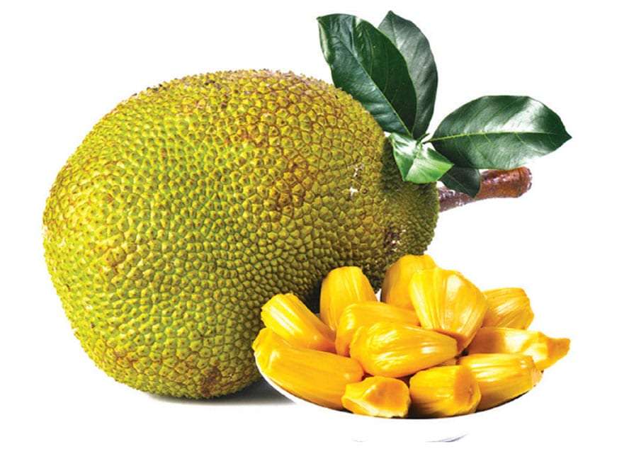 Jackfruit