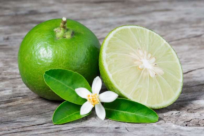 Key Lime