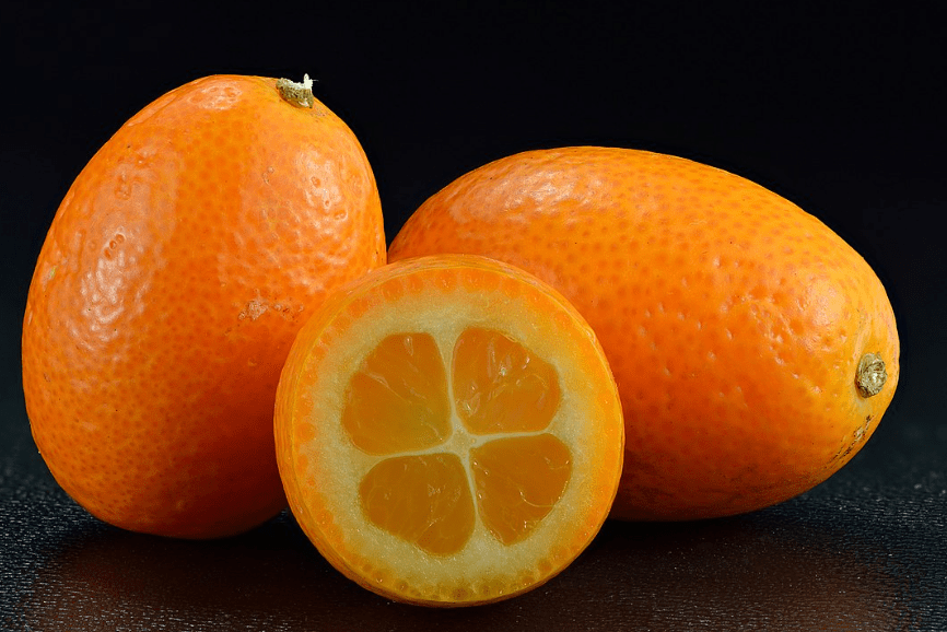 Kumquat