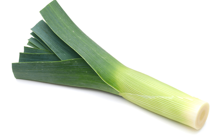 Leek