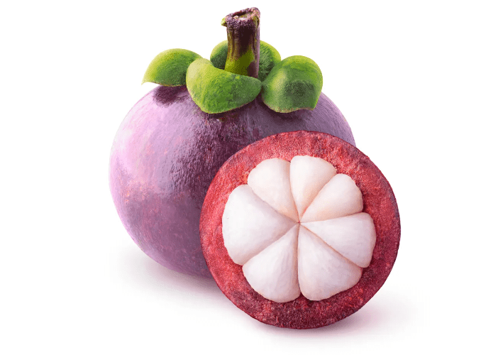 Mangosteen