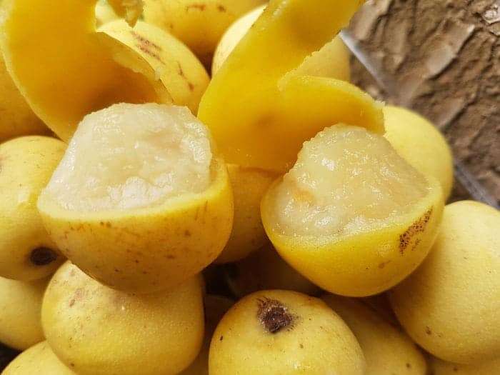 Marula