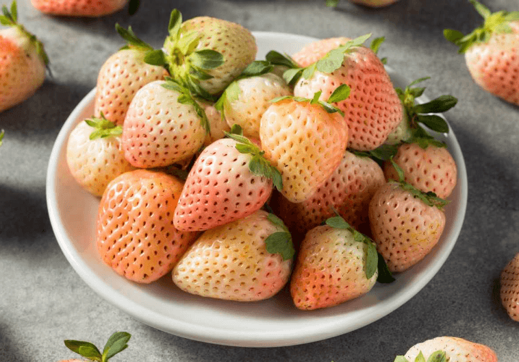 Pineberry