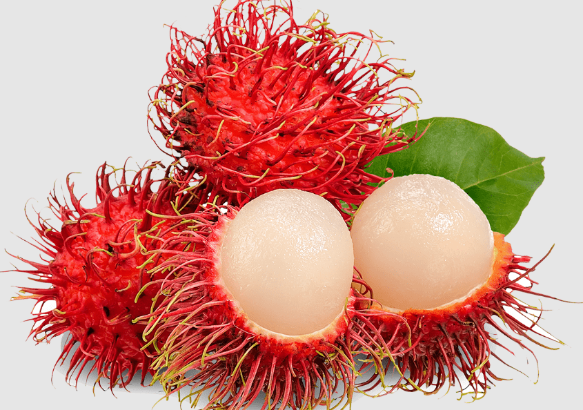 Rambutan