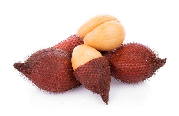 Snake Fruit