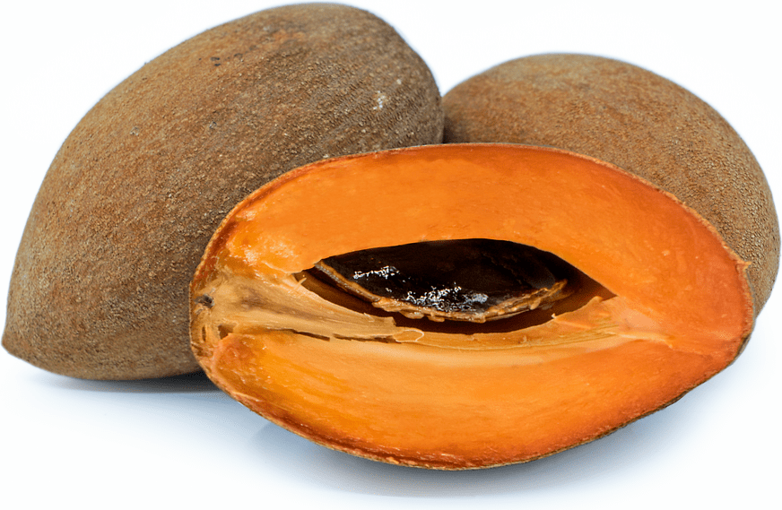 Sapote