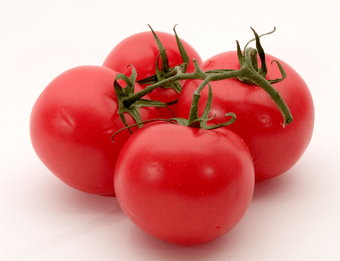 Tomato