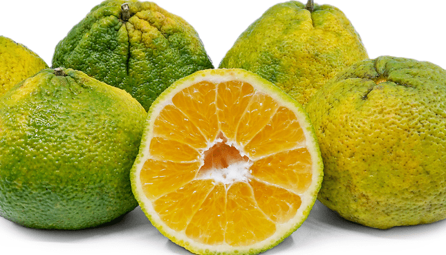 Ugli Fruit