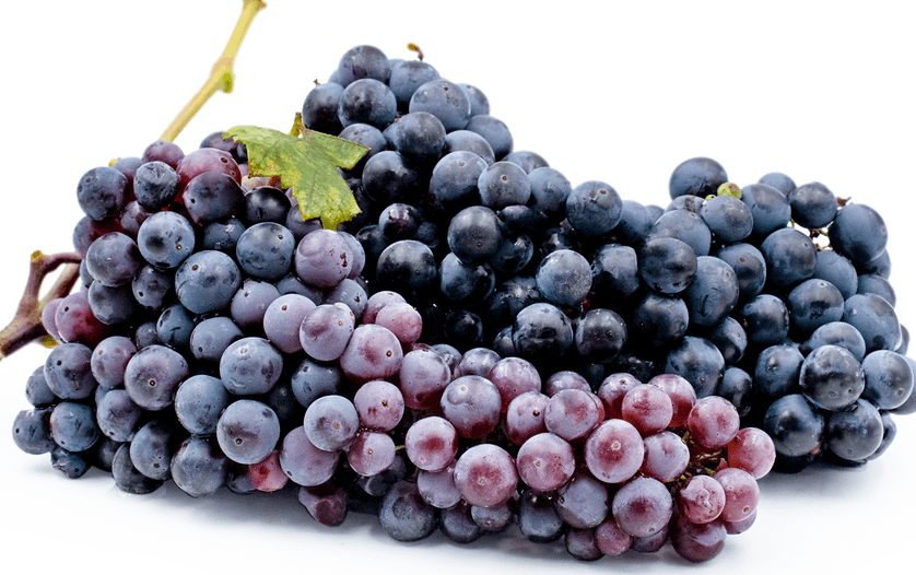 Fruits