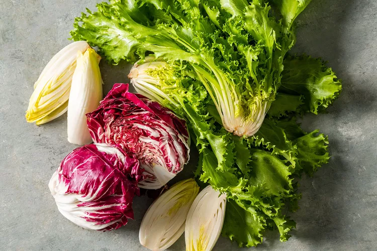 Chicory