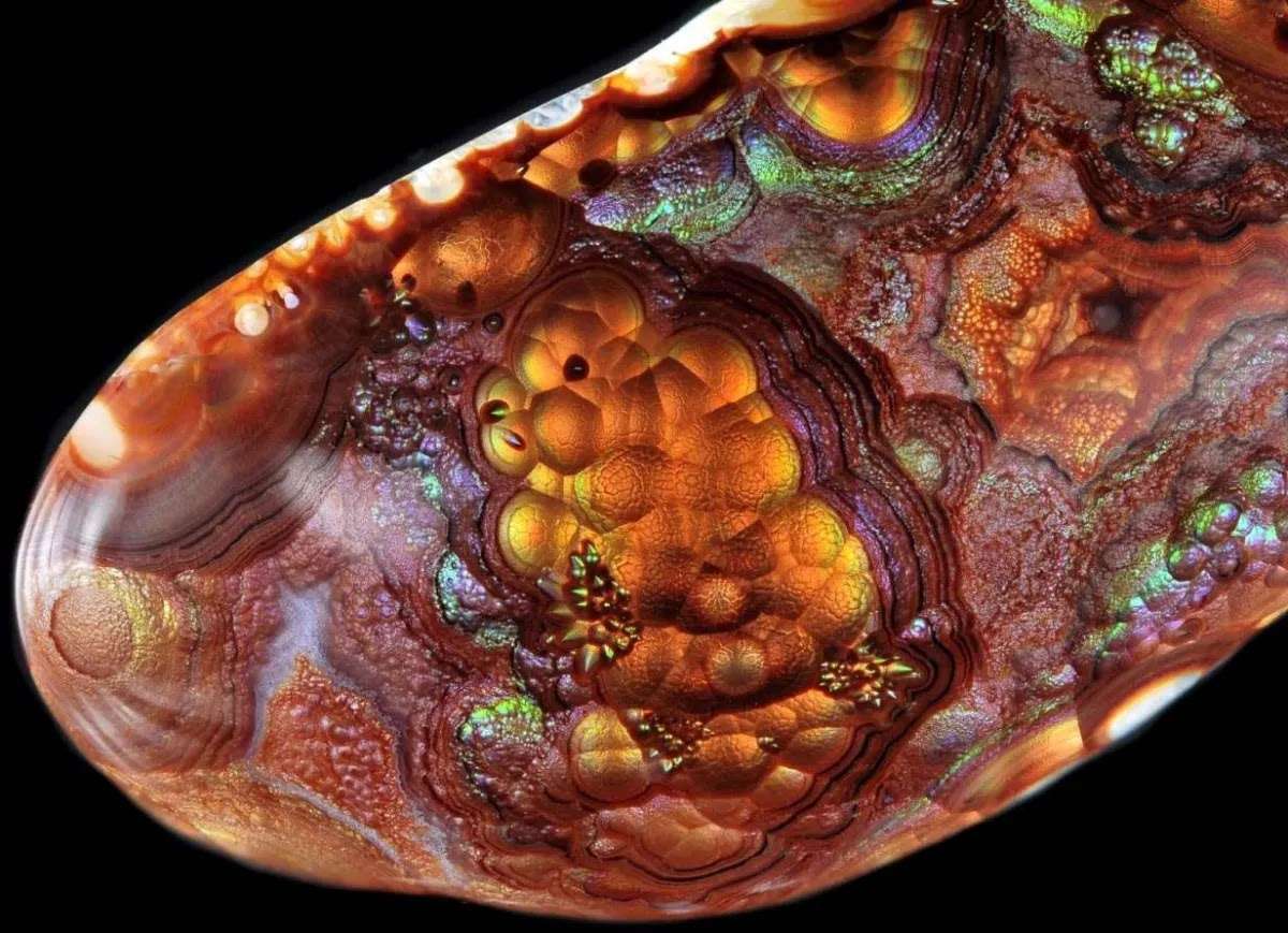 Fire Agate