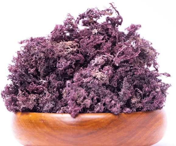 Sea Mosses