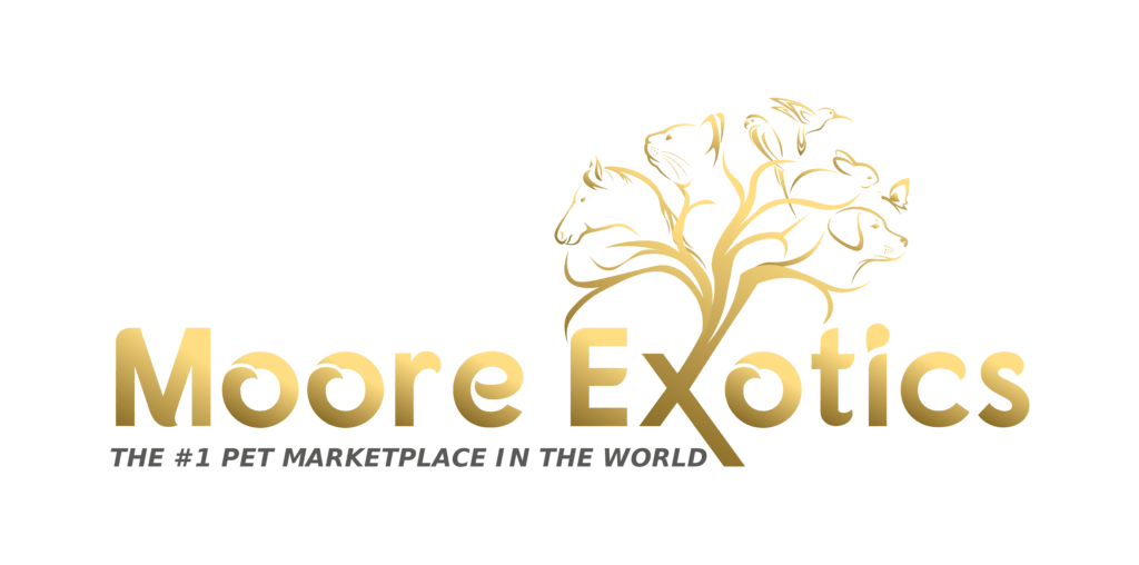 moore-exotics-logo