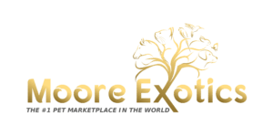 moore-exotics-logo
