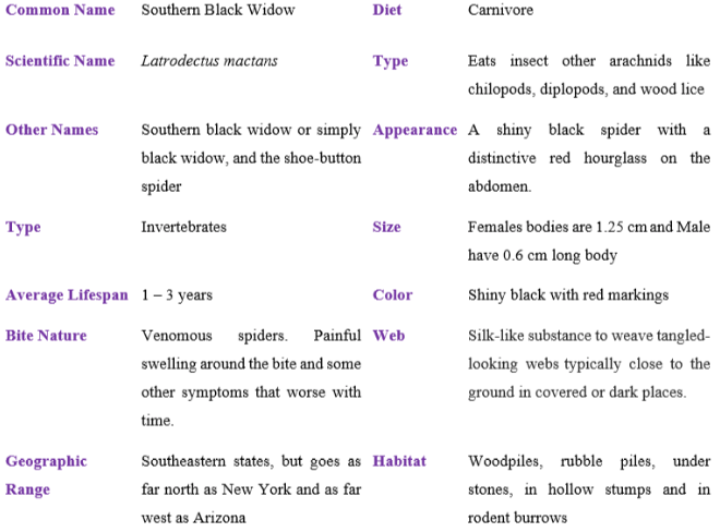 Southern black widow table
