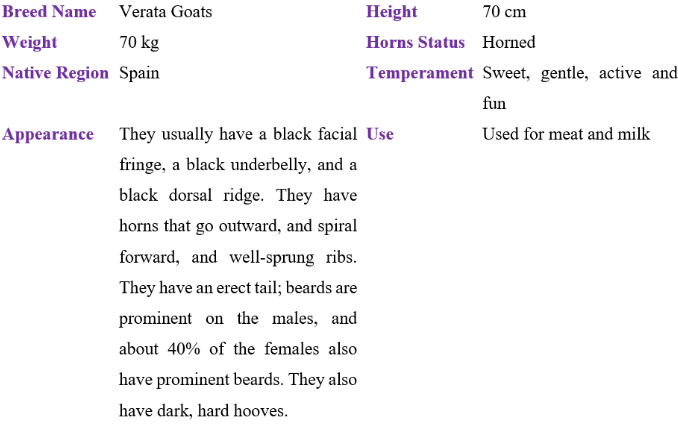 Verata Goat Table