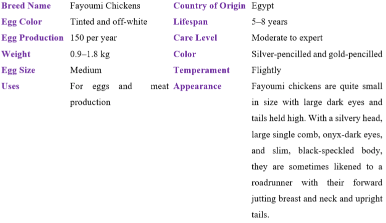 fayoumi chicken table