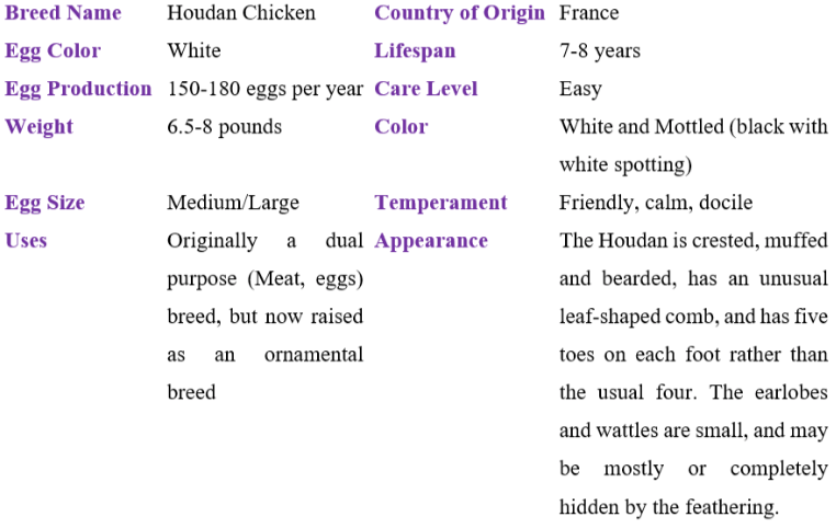 houdan chicken table