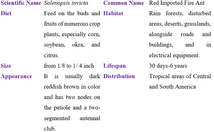 red imported fire ant table
