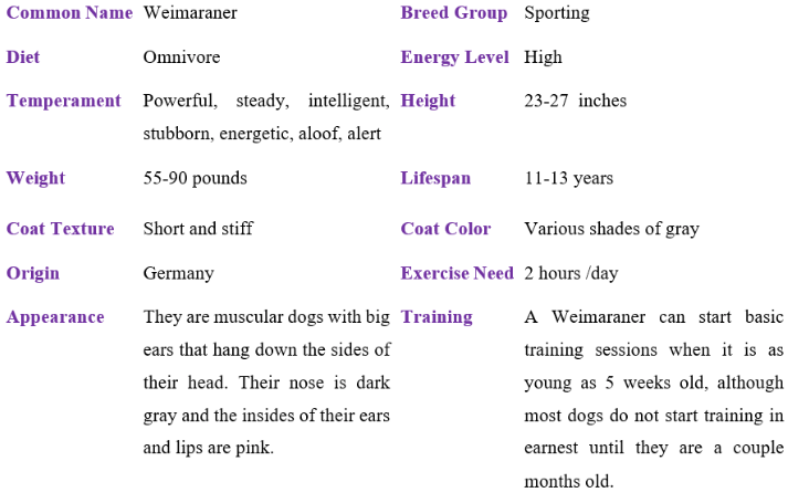 weimaraner table