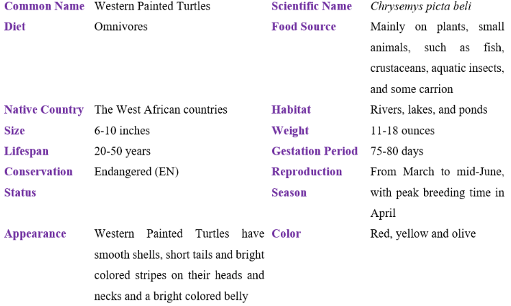 western painted turtle table
