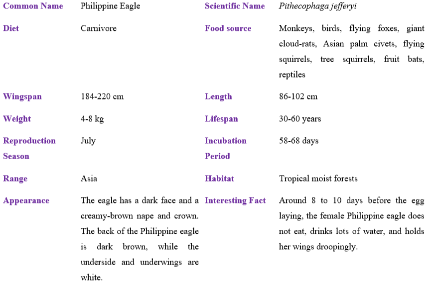 Philippine Eagle table