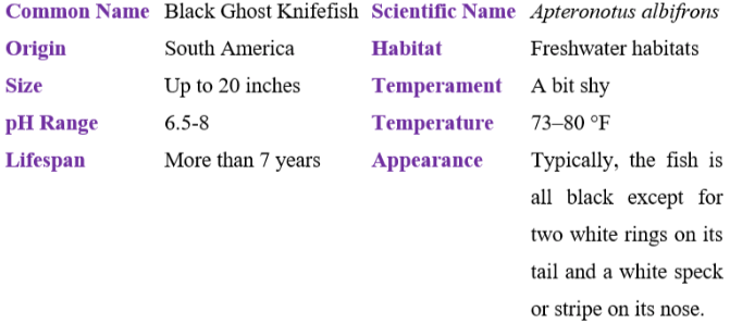 black ghost knifefish table