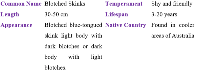 blotched skinks table